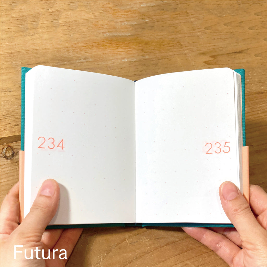 Typeface Note / Futura
